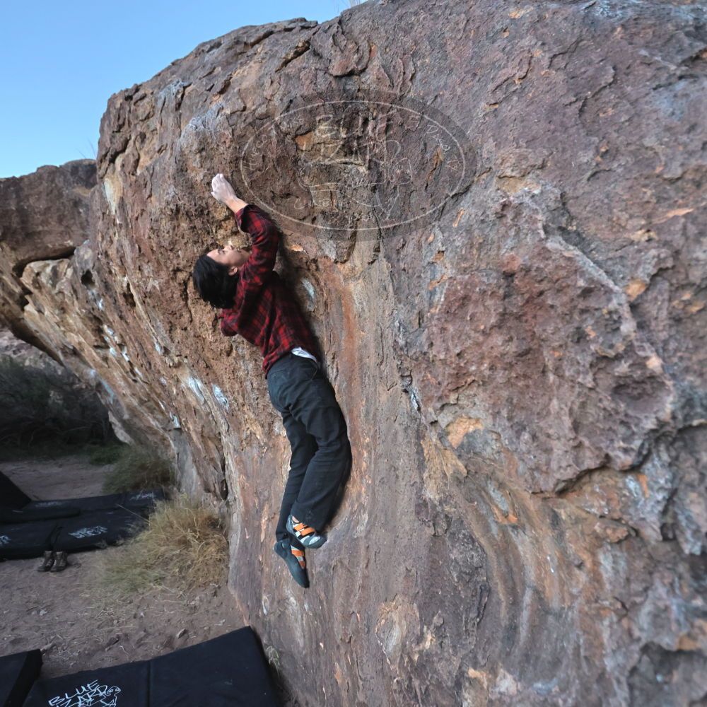 

Filename: SRM_20221120_1709560.jpg
Aperture: f/4.0
Shutter Speed: 1/500
Body: Canon EOS R6
Lens: Canon EF 16-35mm f/2.8 L