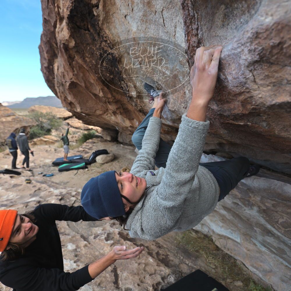 Filename: SRM_20221124_1010050.jpg
Aperture: f/4.0
Shutter Speed: 1/500
Body: Canon EOS R6
Lens: Canon EF 16-35mm f/2.8 L