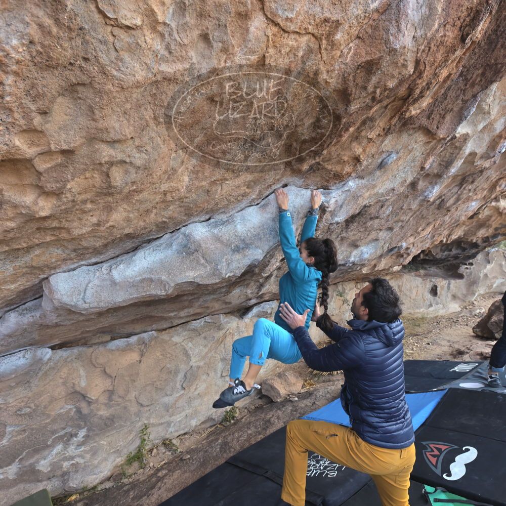 

Filename: SRM_20221124_1057220.jpg
Aperture: f/5.6
Shutter Speed: 1/500
Body: Canon EOS R6
Lens: Canon EF 16-35mm f/2.8 L