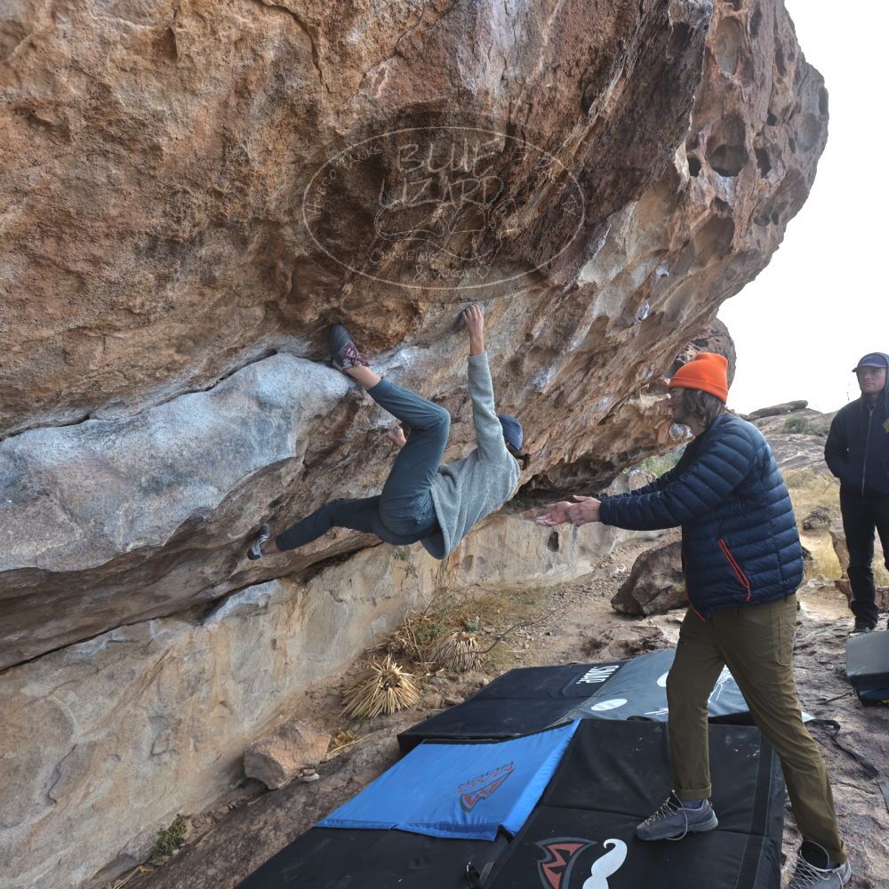 Filename: SRM_20221124_1058290.jpg
Aperture: f/5.6
Shutter Speed: 1/500
Body: Canon EOS R6
Lens: Canon EF 16-35mm f/2.8 L