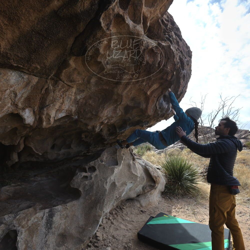 

Filename: SRM_20221124_1108240.jpg
Aperture: f/5.6
Shutter Speed: 1/500
Body: Canon EOS R6
Lens: Canon EF 16-35mm f/2.8 L