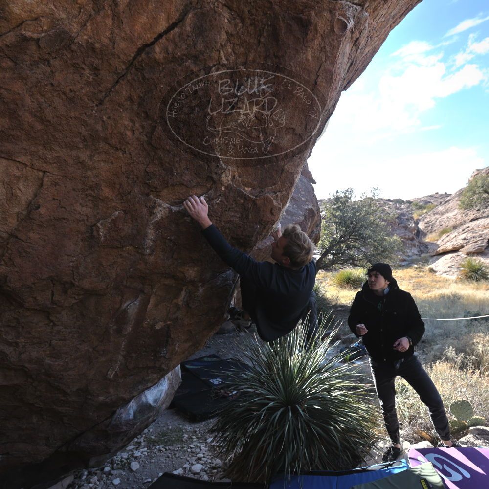 

Filename: SRM_20221124_1259340.jpg
Aperture: f/5.0
Shutter Speed: 1/500
Body: Canon EOS R6
Lens: Canon EF 16-35mm f/2.8 L