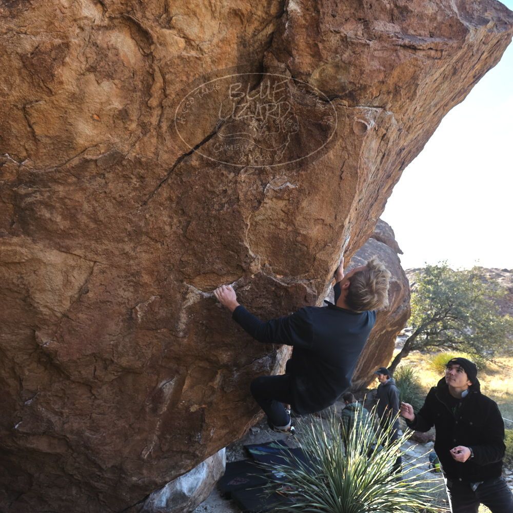 

Filename: SRM_20221124_1259540.jpg
Aperture: f/5.0
Shutter Speed: 1/500
Body: Canon EOS R6
Lens: Canon EF 16-35mm f/2.8 L