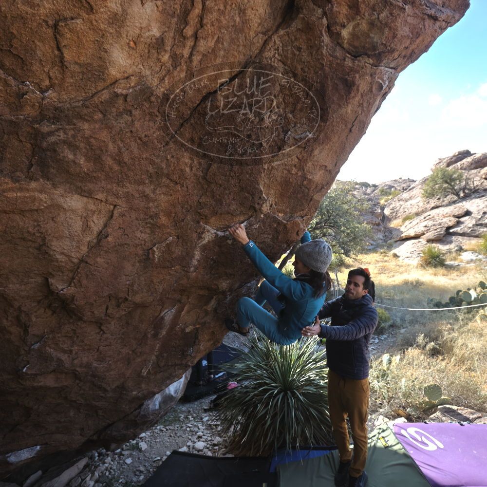 

Filename: SRM_20221124_1303130.jpg
Aperture: f/5.0
Shutter Speed: 1/500
Body: Canon EOS R6
Lens: Canon EF 16-35mm f/2.8 L