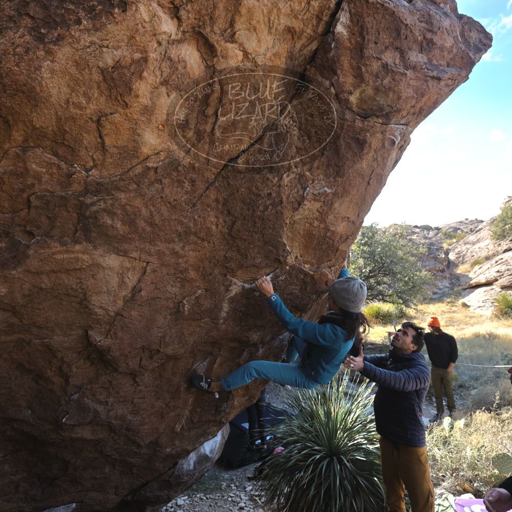 

Filename: SRM_20221124_1303240.jpg
Aperture: f/5.0
Shutter Speed: 1/500
Body: Canon EOS R6
Lens: Canon EF 16-35mm f/2.8 L