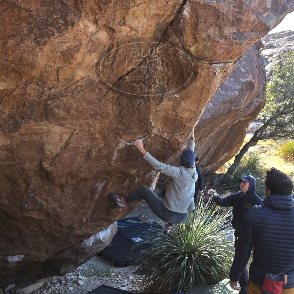 

Filename: SRM_20221124_1314010.jpg
Aperture: f/5.6
Shutter Speed: 1/500
Body: Canon EOS R6
Lens: Canon EF 16-35mm f/2.8 L