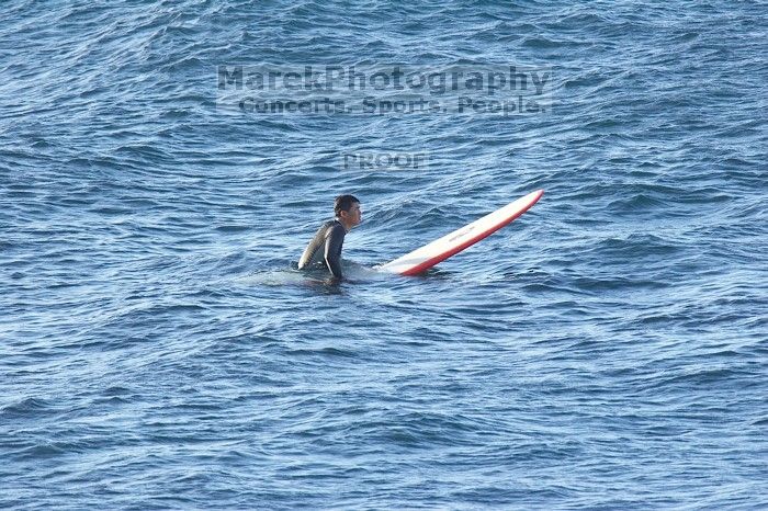 Trip to Maui, Hawai'i, 2007.

Filename: SRM_20071222_1716213.jpg
Aperture: f/5.6
Shutter Speed: 1/1000
Body: Canon EOS 20D
Lens: Canon EF 300mm f/2.8 L IS