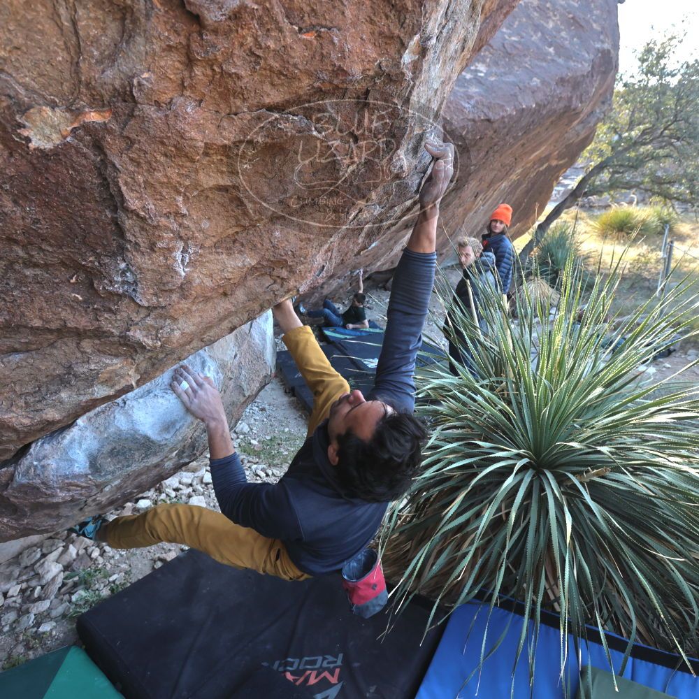 

Filename: SRM_20221124_1340592.jpg
Aperture: f/5.6
Shutter Speed: 1/500
Body: Canon EOS R6
Lens: Canon EF 16-35mm f/2.8 L