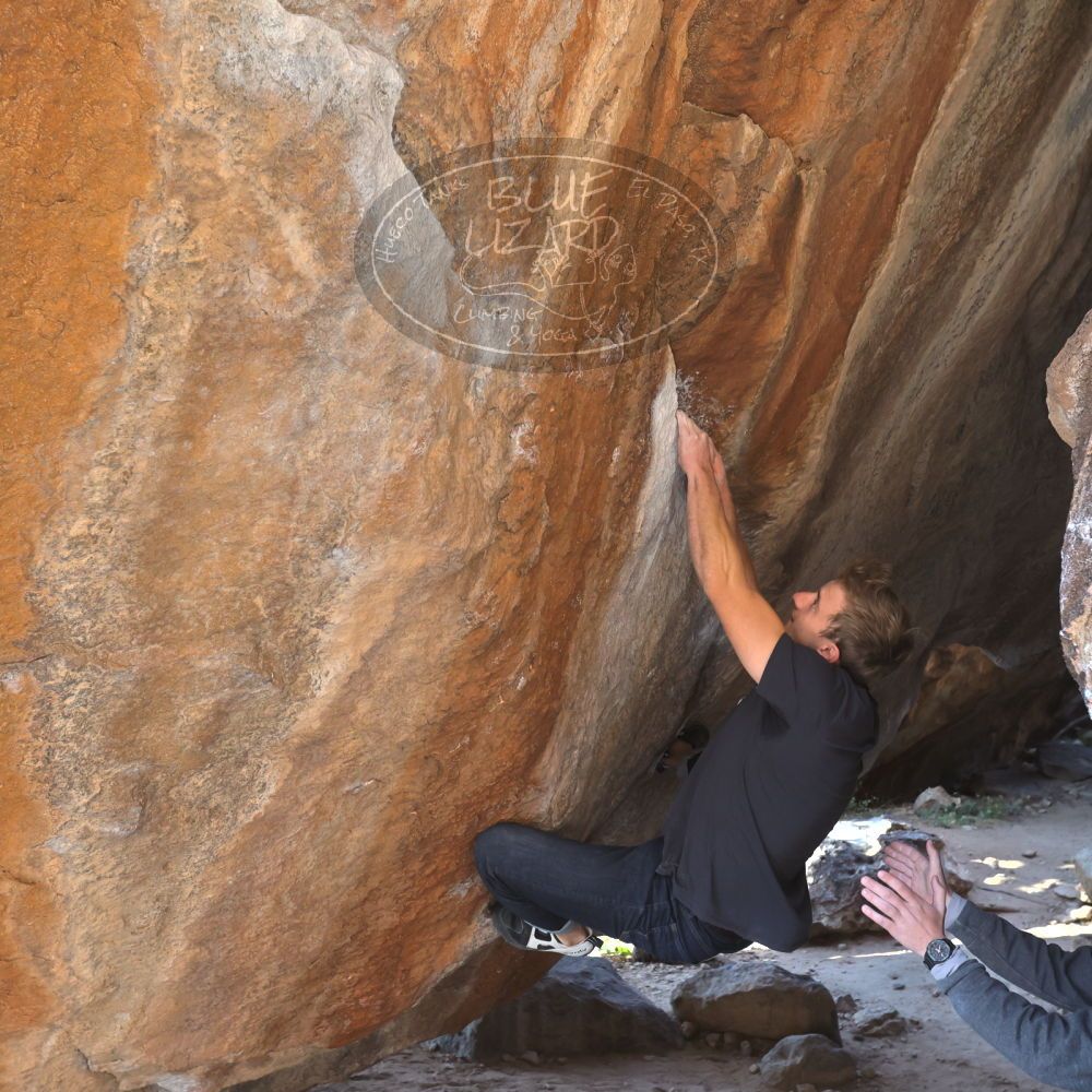 

Filename: SRM_20221124_1424590.jpg
Aperture: f/5.6
Shutter Speed: 1/500
Body: Canon EOS R6
Lens: Canon EF 16-35mm f/2.8 L