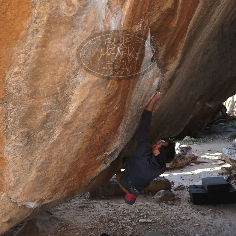 

Filename: SRM_20221124_1437190.jpg
Aperture: f/5.6
Shutter Speed: 1/500
Body: Canon EOS R6
Lens: Canon EF 16-35mm f/2.8 L