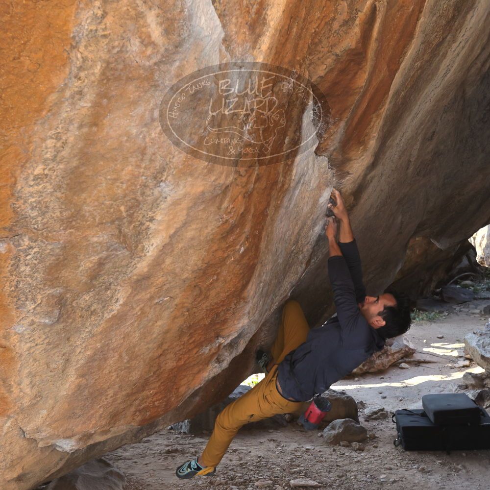 

Filename: SRM_20221124_1437220.jpg
Aperture: f/5.6
Shutter Speed: 1/500
Body: Canon EOS R6
Lens: Canon EF 16-35mm f/2.8 L