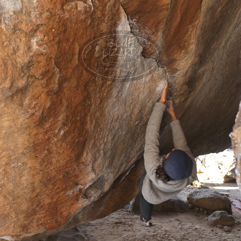 Filename: SRM_20221124_1438550.jpg
Aperture: f/5.6
Shutter Speed: 1/500
Body: Canon EOS R6
Lens: Canon EF 16-35mm f/2.8 L