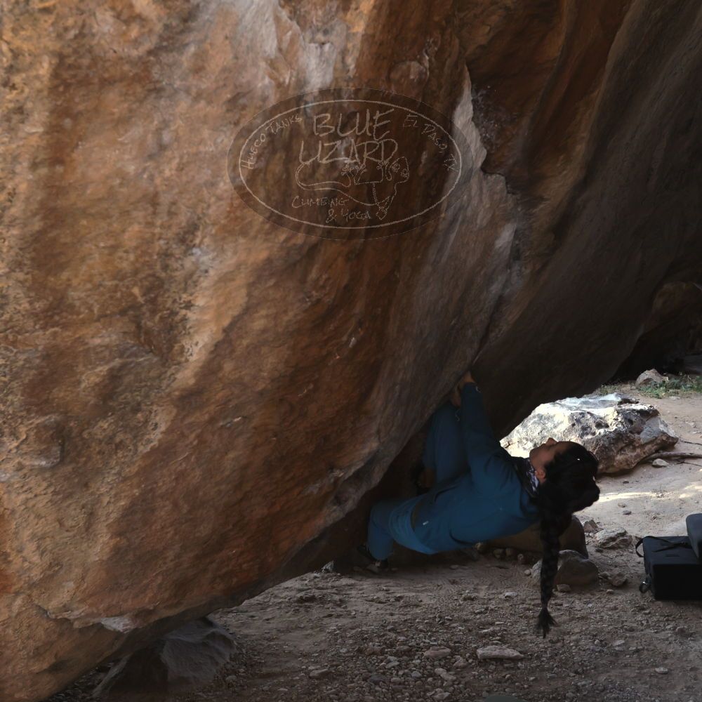 Filename: SRM_20221124_1446240.jpg
Aperture: f/5.6
Shutter Speed: 1/500
Body: Canon EOS R6
Lens: Canon EF 16-35mm f/2.8 L