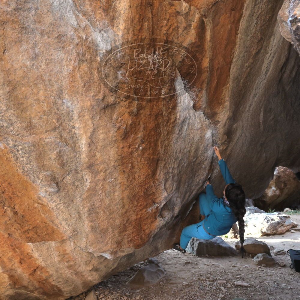 

Filename: SRM_20221124_1447410.jpg
Aperture: f/5.6
Shutter Speed: 1/500
Body: Canon EOS R6
Lens: Canon EF 16-35mm f/2.8 L