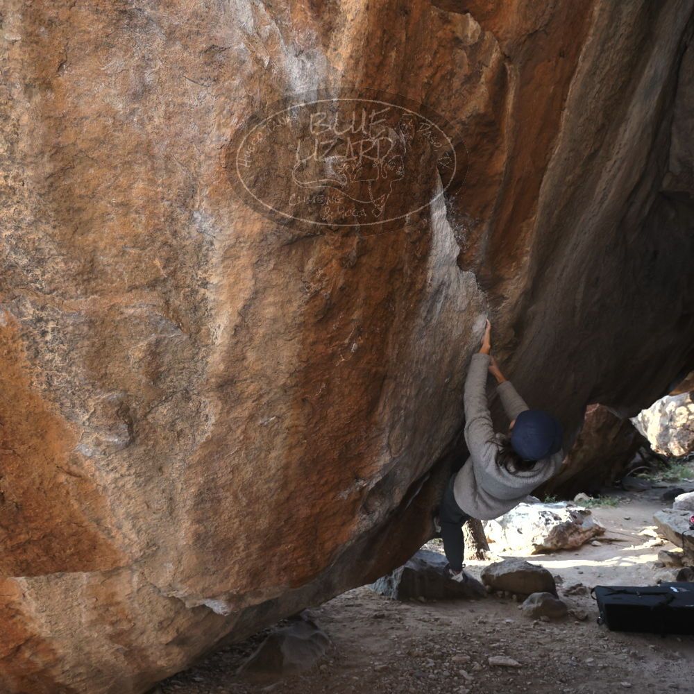 

Filename: SRM_20221124_1449270.jpg
Aperture: f/5.6
Shutter Speed: 1/500
Body: Canon EOS R6
Lens: Canon EF 16-35mm f/2.8 L