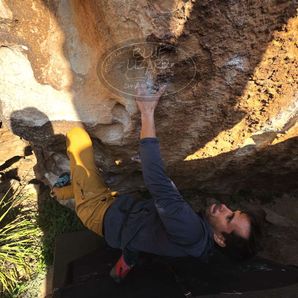 

Filename: SRM_20221124_1534510.jpg
Aperture: f/5.6
Shutter Speed: 1/500
Body: Canon EOS R6
Lens: Canon EF 16-35mm f/2.8 L