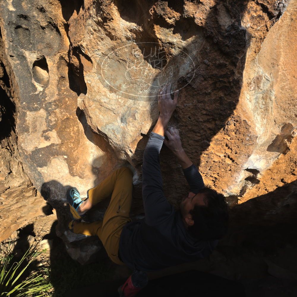 

Filename: SRM_20221124_1535000.jpg
Aperture: f/5.6
Shutter Speed: 1/500
Body: Canon EOS R6
Lens: Canon EF 16-35mm f/2.8 L