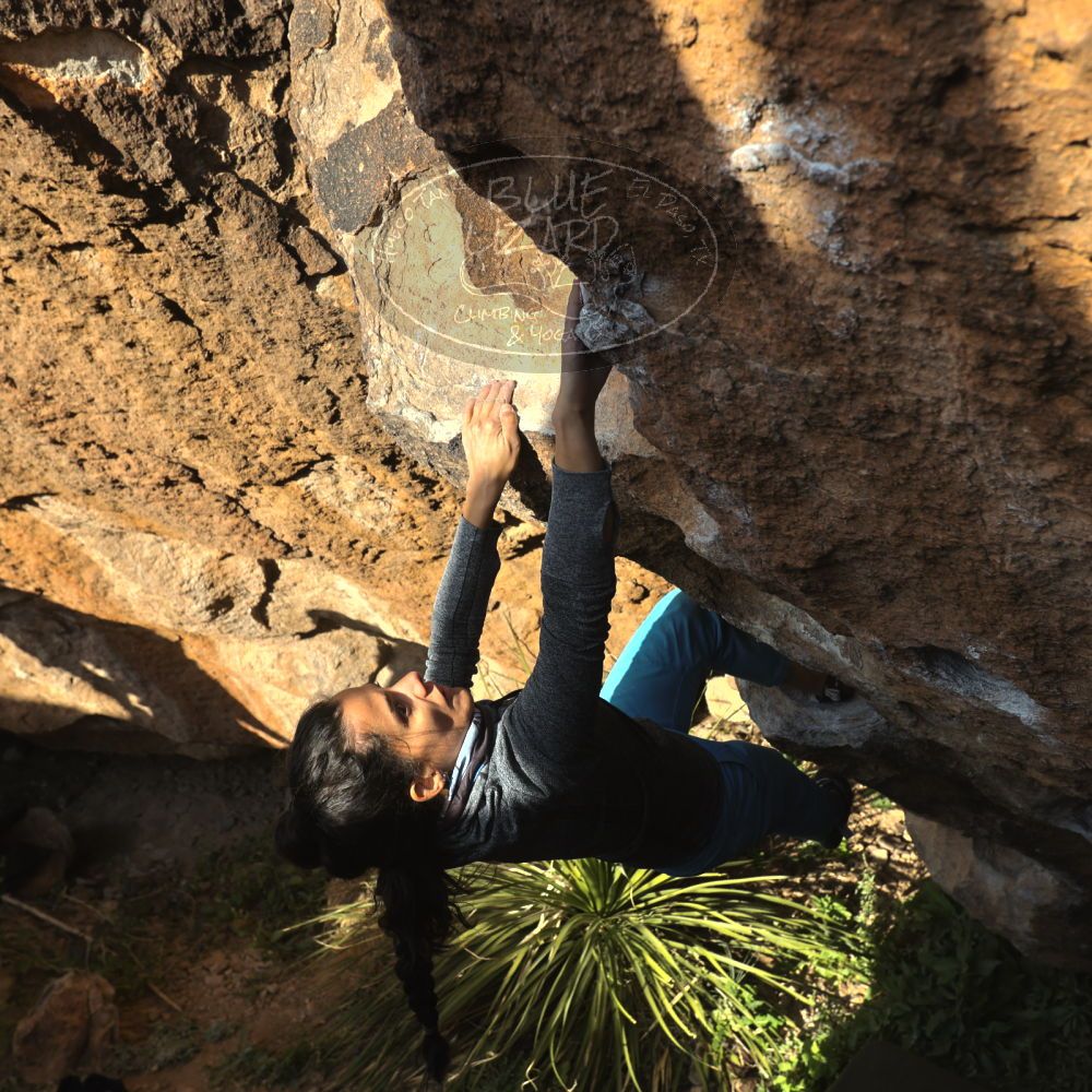 

Filename: SRM_20221124_1537590.jpg
Aperture: f/5.6
Shutter Speed: 1/500
Body: Canon EOS R6
Lens: Canon EF 16-35mm f/2.8 L