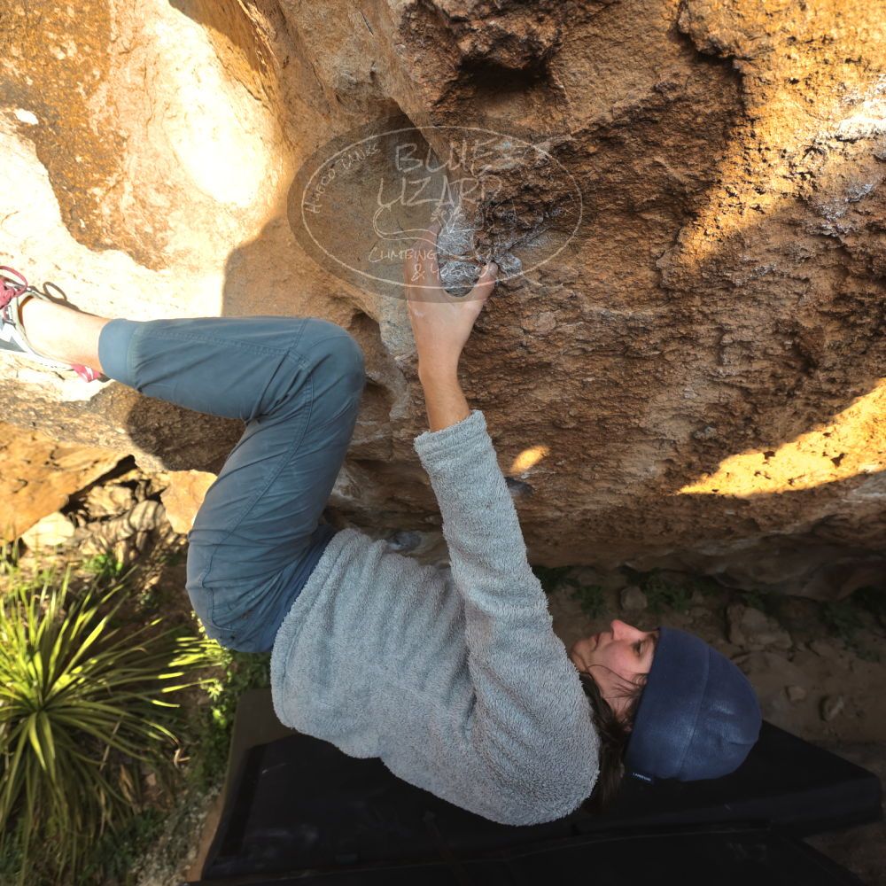 Filename: SRM_20221124_1543020.jpg
Aperture: f/5.6
Shutter Speed: 1/500
Body: Canon EOS R6
Lens: Canon EF 16-35mm f/2.8 L