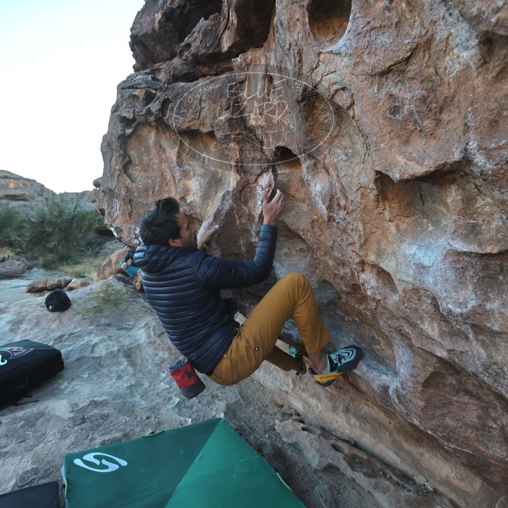 

Filename: SRM_20221124_1628310.jpg
Aperture: f/5.6
Shutter Speed: 1/500
Body: Canon EOS R6
Lens: Canon EF 16-35mm f/2.8 L