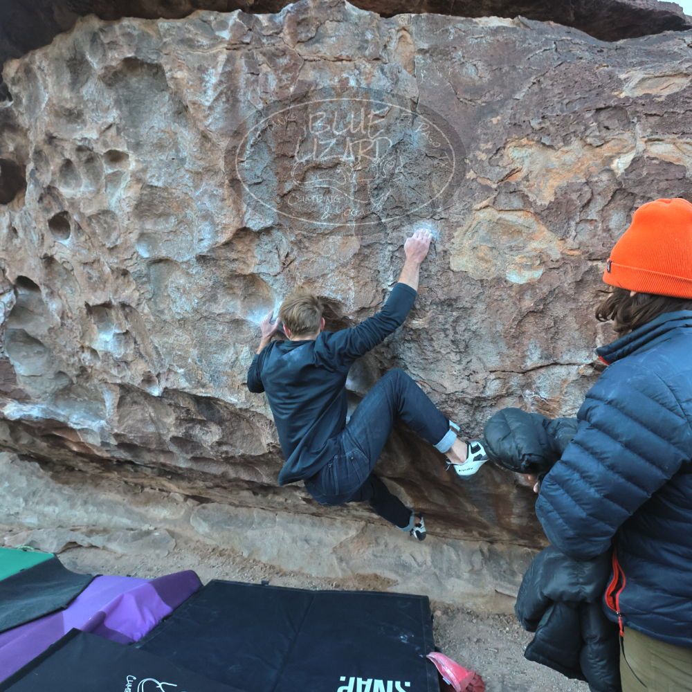 

Filename: SRM_20221124_1643050.jpg
Aperture: f/5.6
Shutter Speed: 1/500
Body: Canon EOS R6
Lens: Canon EF 16-35mm f/2.8 L