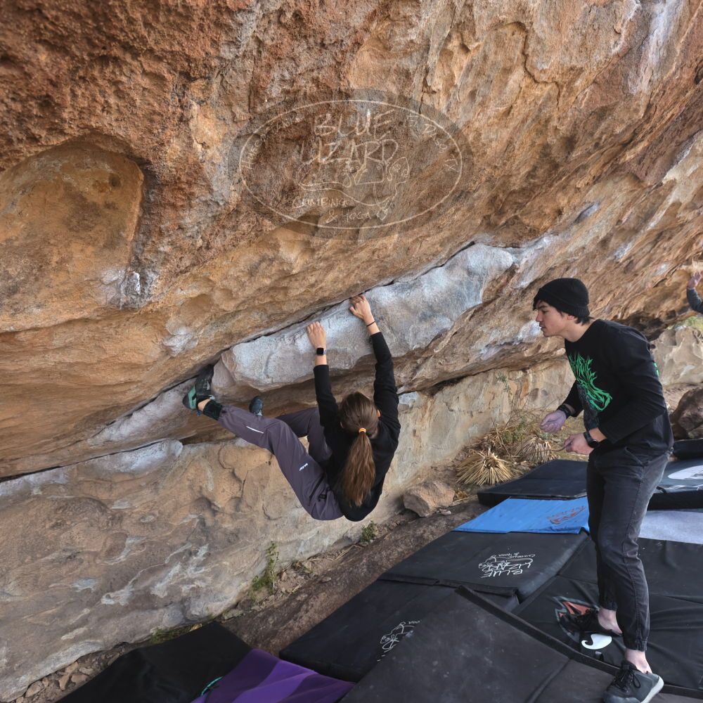 

Filename: SRM_20221124_1109240.jpg
Aperture: f/5.6
Shutter Speed: 1/500
Body: Canon EOS R6
Lens: Canon EF 16-35mm f/2.8 L