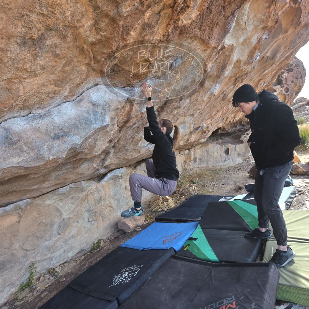 

Filename: SRM_20221124_1141080.jpg
Aperture: f/5.6
Shutter Speed: 1/500
Body: Canon EOS R6
Lens: Canon EF 16-35mm f/2.8 L