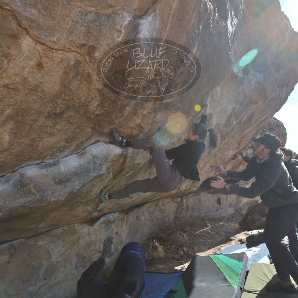 

Filename: SRM_20221124_1215130.jpg
Aperture: f/5.6
Shutter Speed: 1/500
Body: Canon EOS R6
Lens: Canon EF 16-35mm f/2.8 L