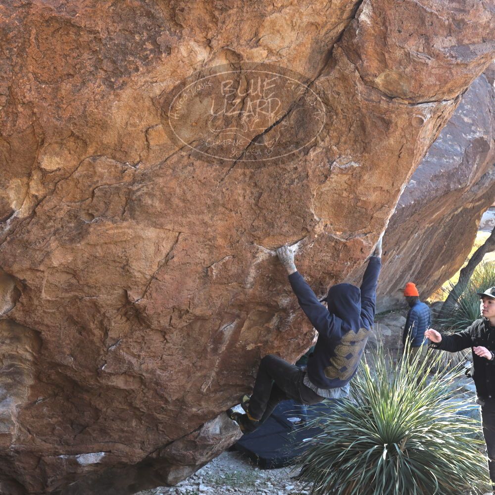 

Filename: SRM_20221124_1320450.jpg
Aperture: f/5.6
Shutter Speed: 1/500
Body: Canon EOS R6
Lens: Canon EF 16-35mm f/2.8 L