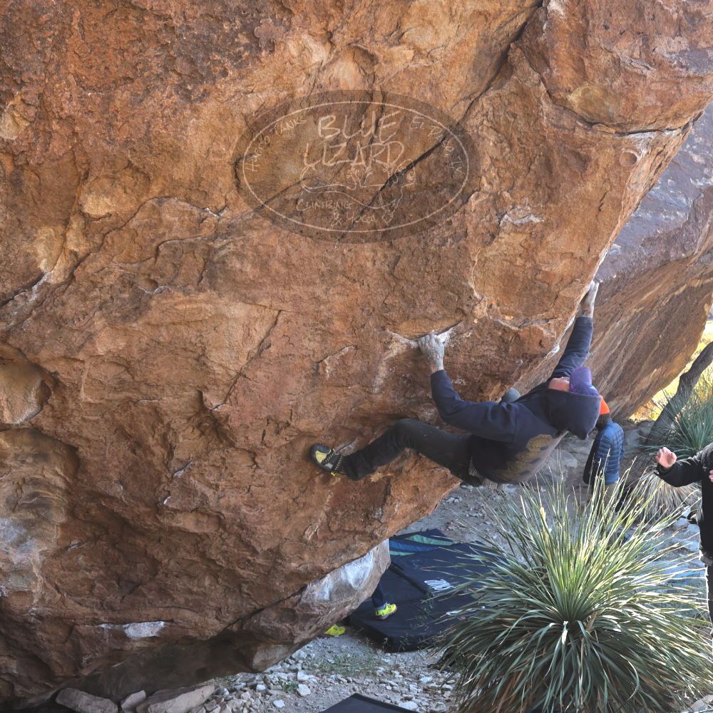 

Filename: SRM_20221124_1320500.jpg
Aperture: f/5.6
Shutter Speed: 1/500
Body: Canon EOS R6
Lens: Canon EF 16-35mm f/2.8 L