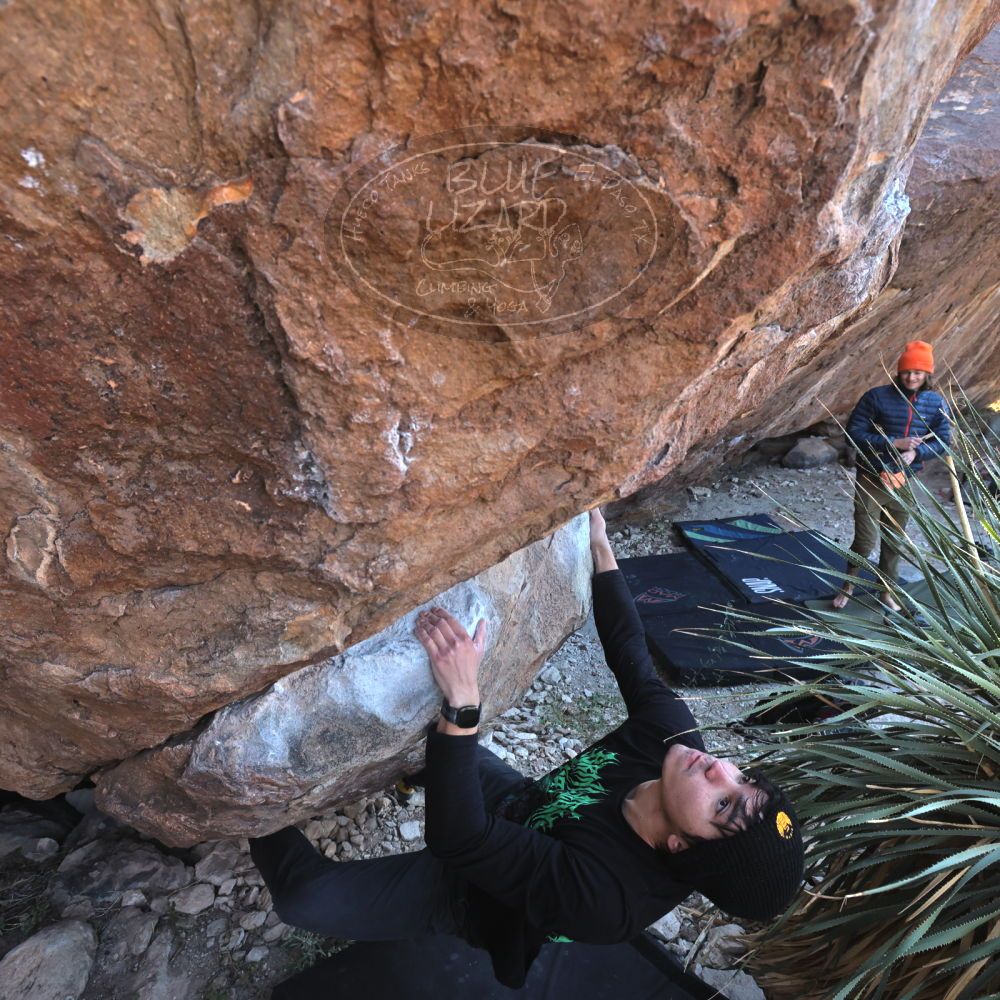 

Filename: SRM_20221124_1323100.jpg
Aperture: f/5.6
Shutter Speed: 1/500
Body: Canon EOS R6
Lens: Canon EF 16-35mm f/2.8 L