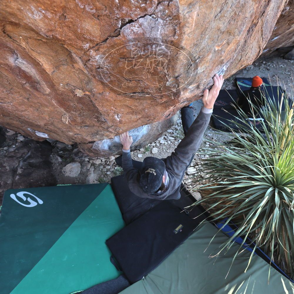 

Filename: SRM_20221124_1327291.jpg
Aperture: f/5.6
Shutter Speed: 1/500
Body: Canon EOS R6
Lens: Canon EF 16-35mm f/2.8 L