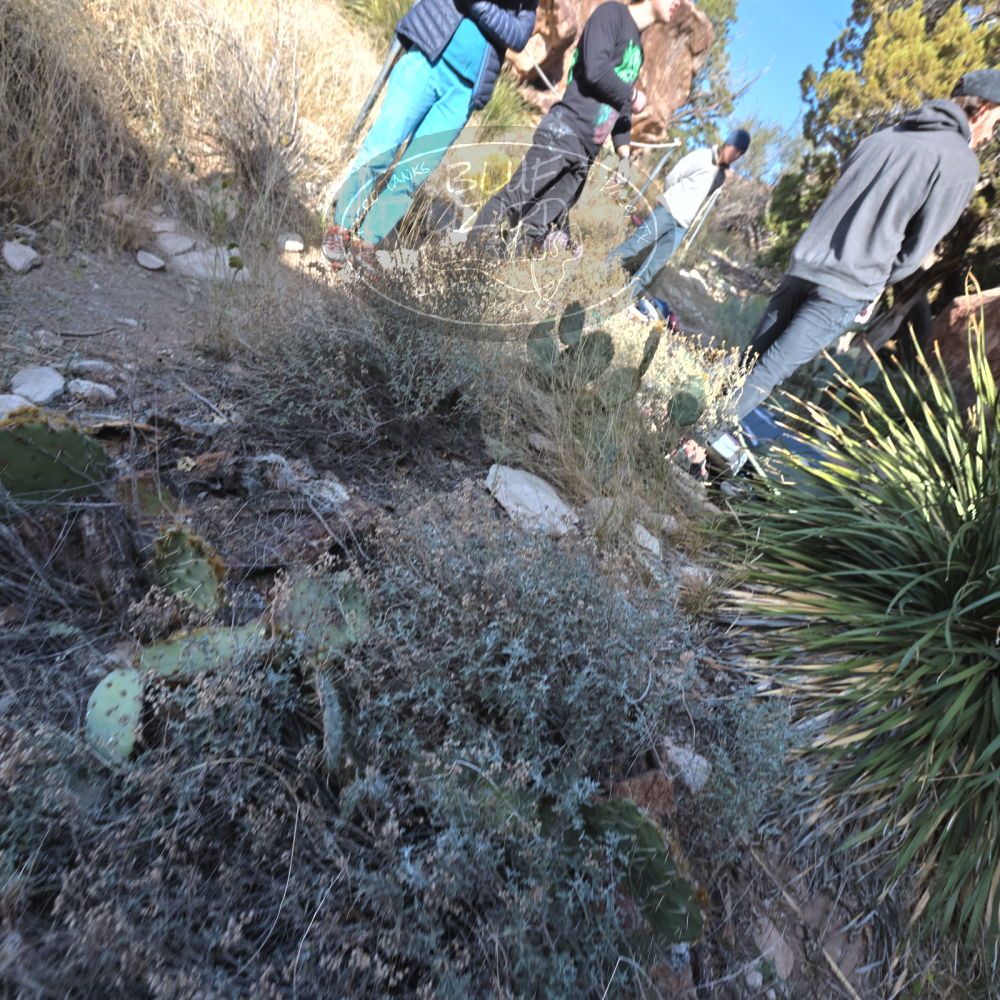 

Filename: SRM_20221124_1329300.jpg
Aperture: f/5.6
Shutter Speed: 1/500
Body: Canon EOS R6
Lens: Canon EF 16-35mm f/2.8 L