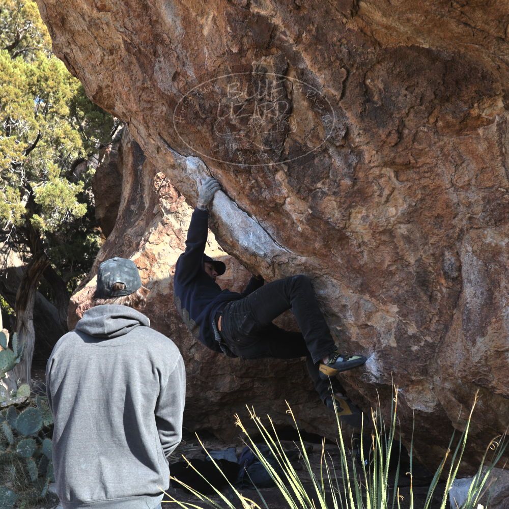 

Filename: SRM_20221124_1329390.jpg
Aperture: f/5.6
Shutter Speed: 1/500
Body: Canon EOS R6
Lens: Canon EF 16-35mm f/2.8 L