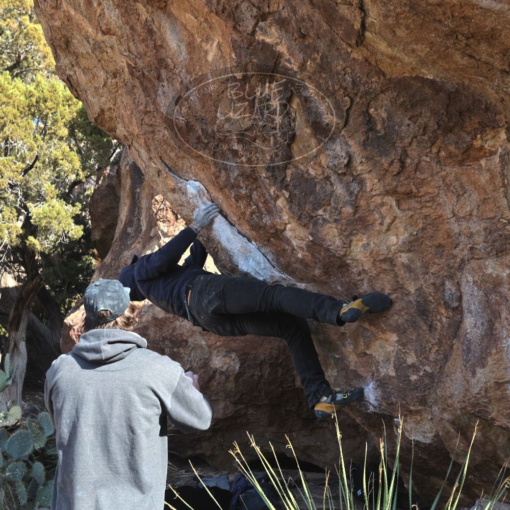 

Filename: SRM_20221124_1329450.jpg
Aperture: f/5.6
Shutter Speed: 1/500
Body: Canon EOS R6
Lens: Canon EF 16-35mm f/2.8 L