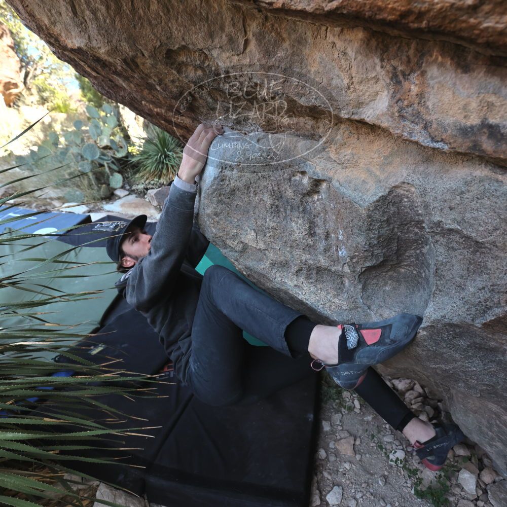 

Filename: SRM_20221124_1333260.jpg
Aperture: f/5.6
Shutter Speed: 1/500
Body: Canon EOS R6
Lens: Canon EF 16-35mm f/2.8 L