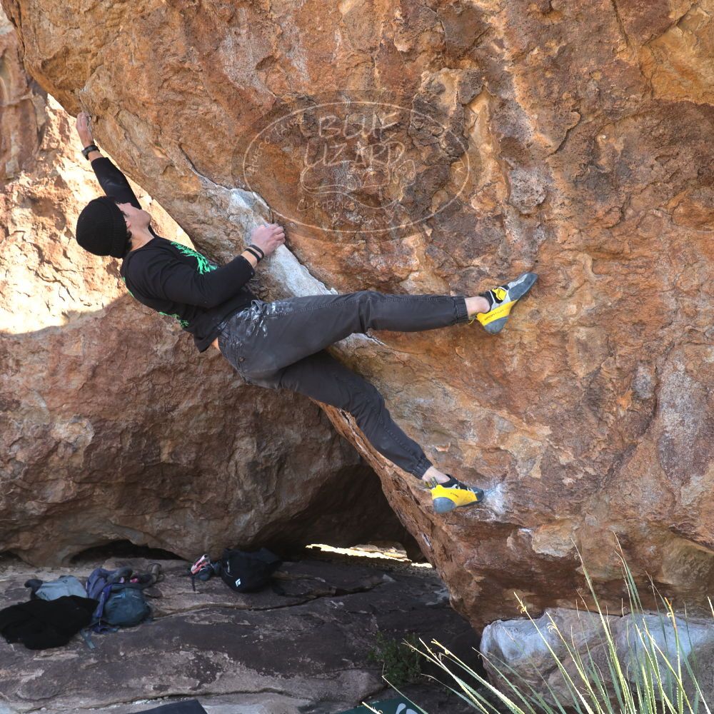 

Filename: SRM_20221124_1334270.jpg
Aperture: f/5.6
Shutter Speed: 1/500
Body: Canon EOS R6
Lens: Canon EF 16-35mm f/2.8 L