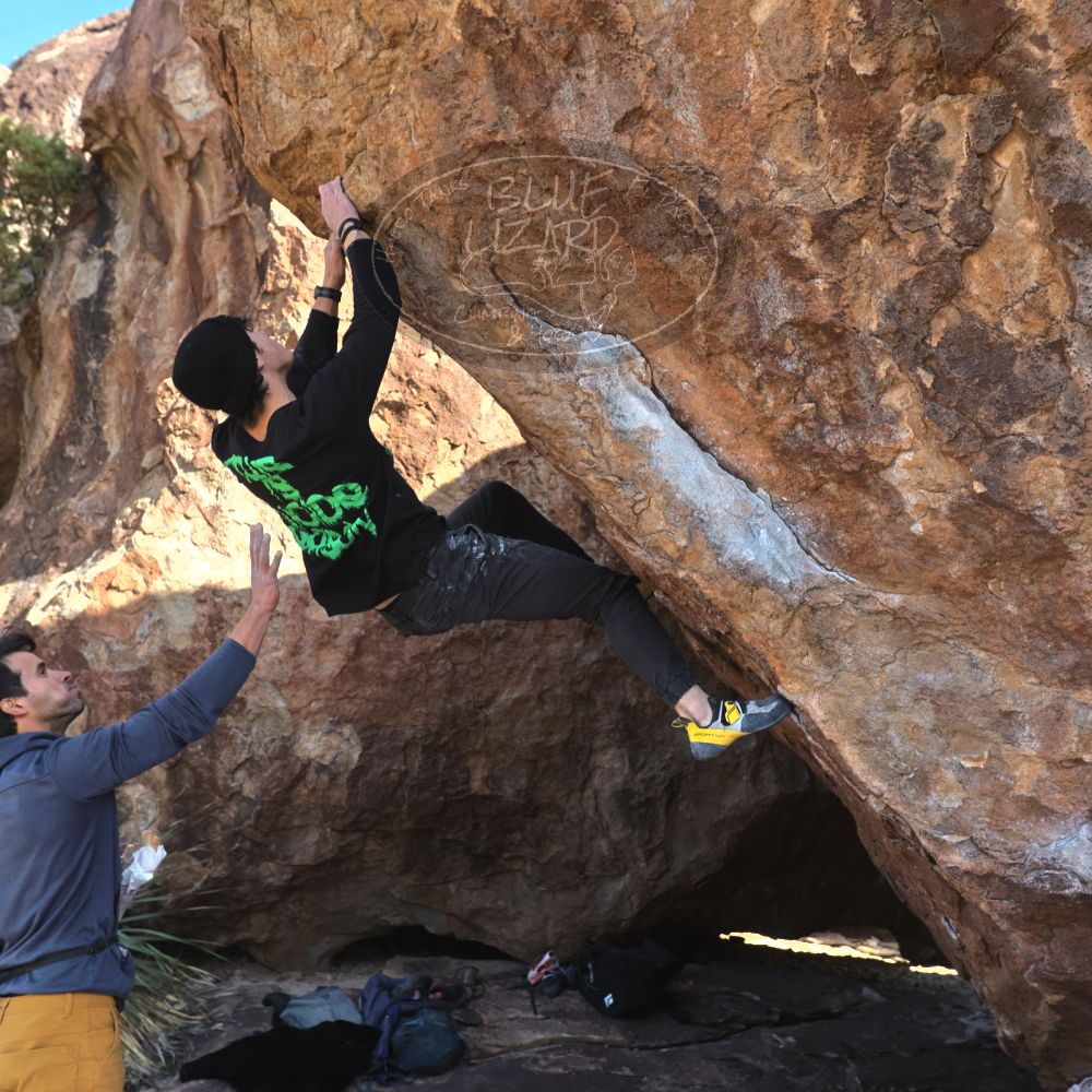 

Filename: SRM_20221124_1334320.jpg
Aperture: f/5.6
Shutter Speed: 1/500
Body: Canon EOS R6
Lens: Canon EF 16-35mm f/2.8 L