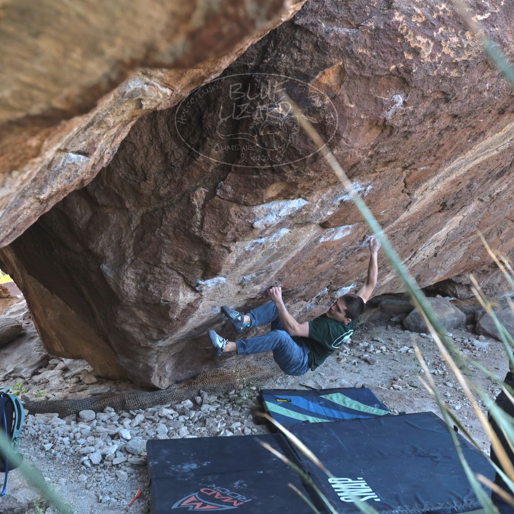 

Filename: SRM_20221124_1341230.jpg
Aperture: f/5.6
Shutter Speed: 1/500
Body: Canon EOS R6
Lens: Canon EF 16-35mm f/2.8 L