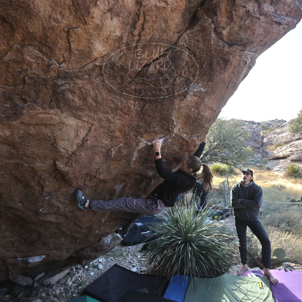 

Filename: SRM_20221124_1344010.jpg
Aperture: f/5.6
Shutter Speed: 1/500
Body: Canon EOS R6
Lens: Canon EF 16-35mm f/2.8 L