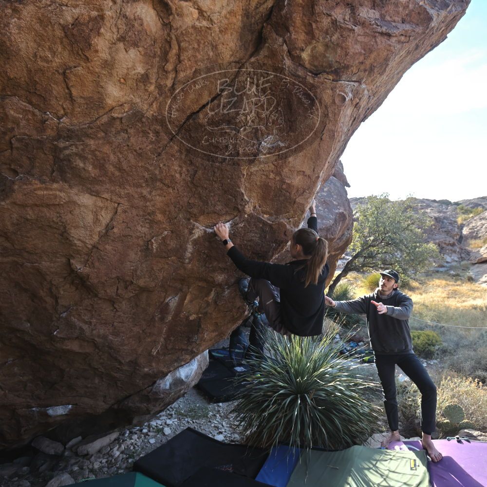 

Filename: SRM_20221124_1344140.jpg
Aperture: f/5.6
Shutter Speed: 1/500
Body: Canon EOS R6
Lens: Canon EF 16-35mm f/2.8 L