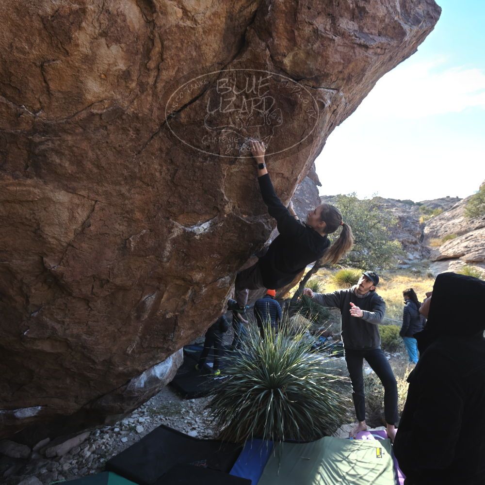 

Filename: SRM_20221124_1344310.jpg
Aperture: f/5.6
Shutter Speed: 1/500
Body: Canon EOS R6
Lens: Canon EF 16-35mm f/2.8 L