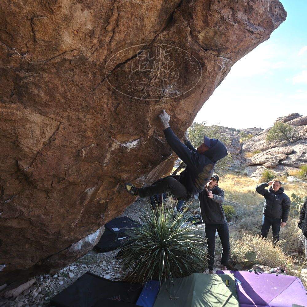 

Filename: SRM_20221124_1345410.jpg
Aperture: f/5.6
Shutter Speed: 1/500
Body: Canon EOS R6
Lens: Canon EF 16-35mm f/2.8 L