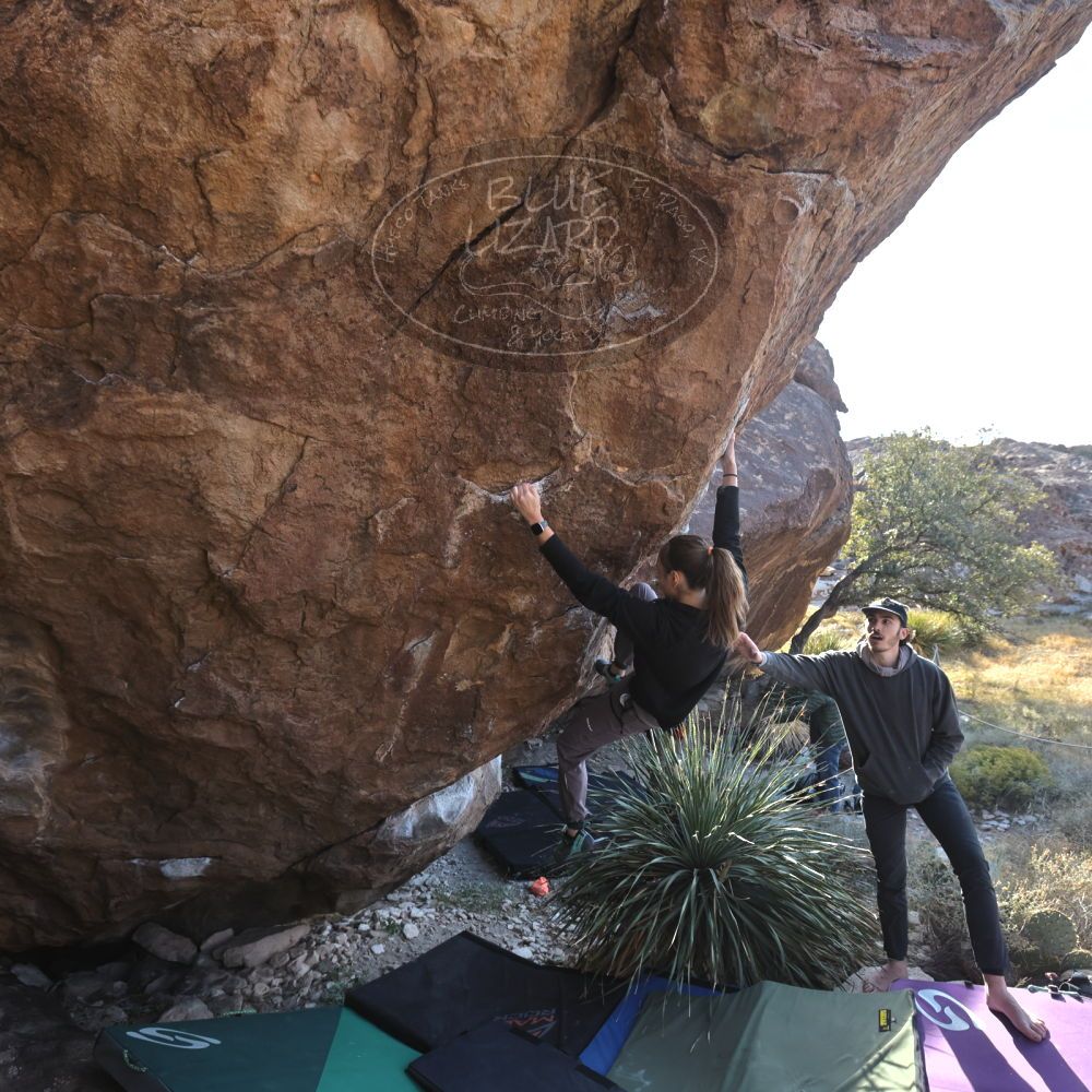 

Filename: SRM_20221124_1353190.jpg
Aperture: f/5.6
Shutter Speed: 1/500
Body: Canon EOS R6
Lens: Canon EF 16-35mm f/2.8 L