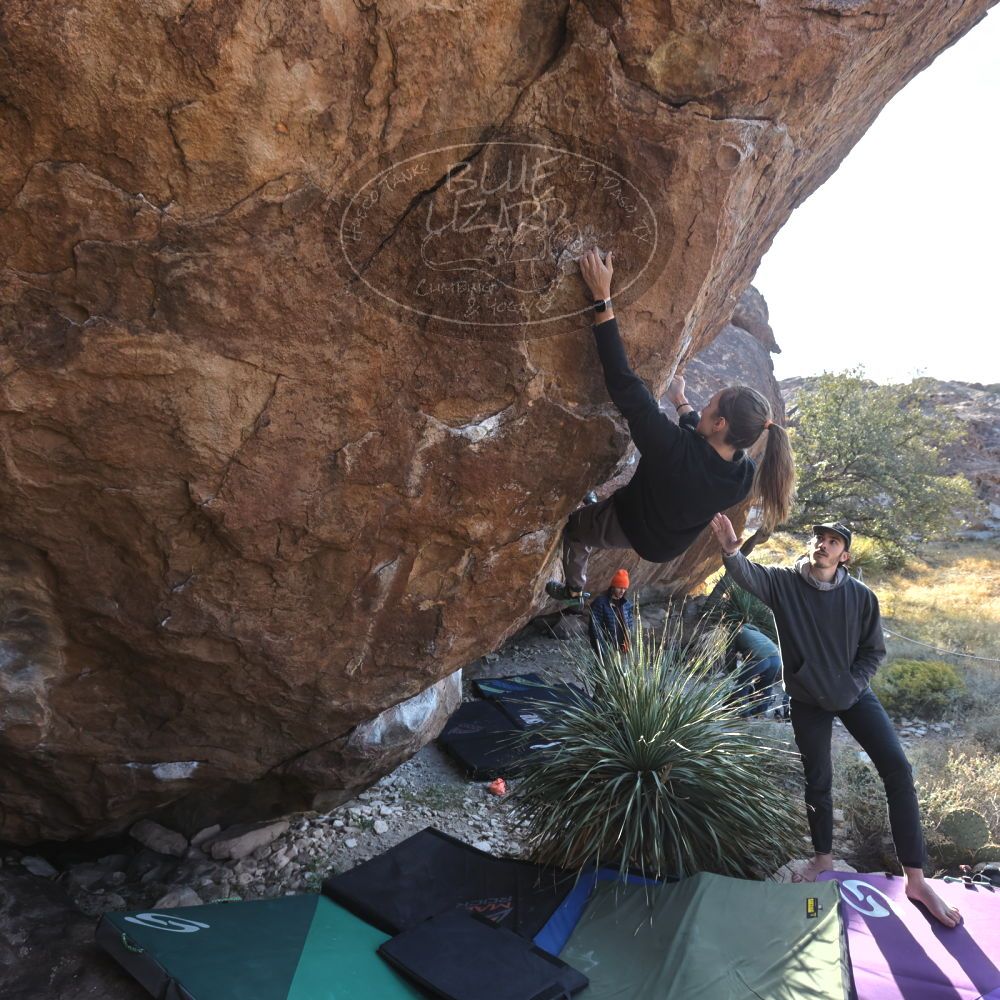 

Filename: SRM_20221124_1353270.jpg
Aperture: f/5.6
Shutter Speed: 1/500
Body: Canon EOS R6
Lens: Canon EF 16-35mm f/2.8 L