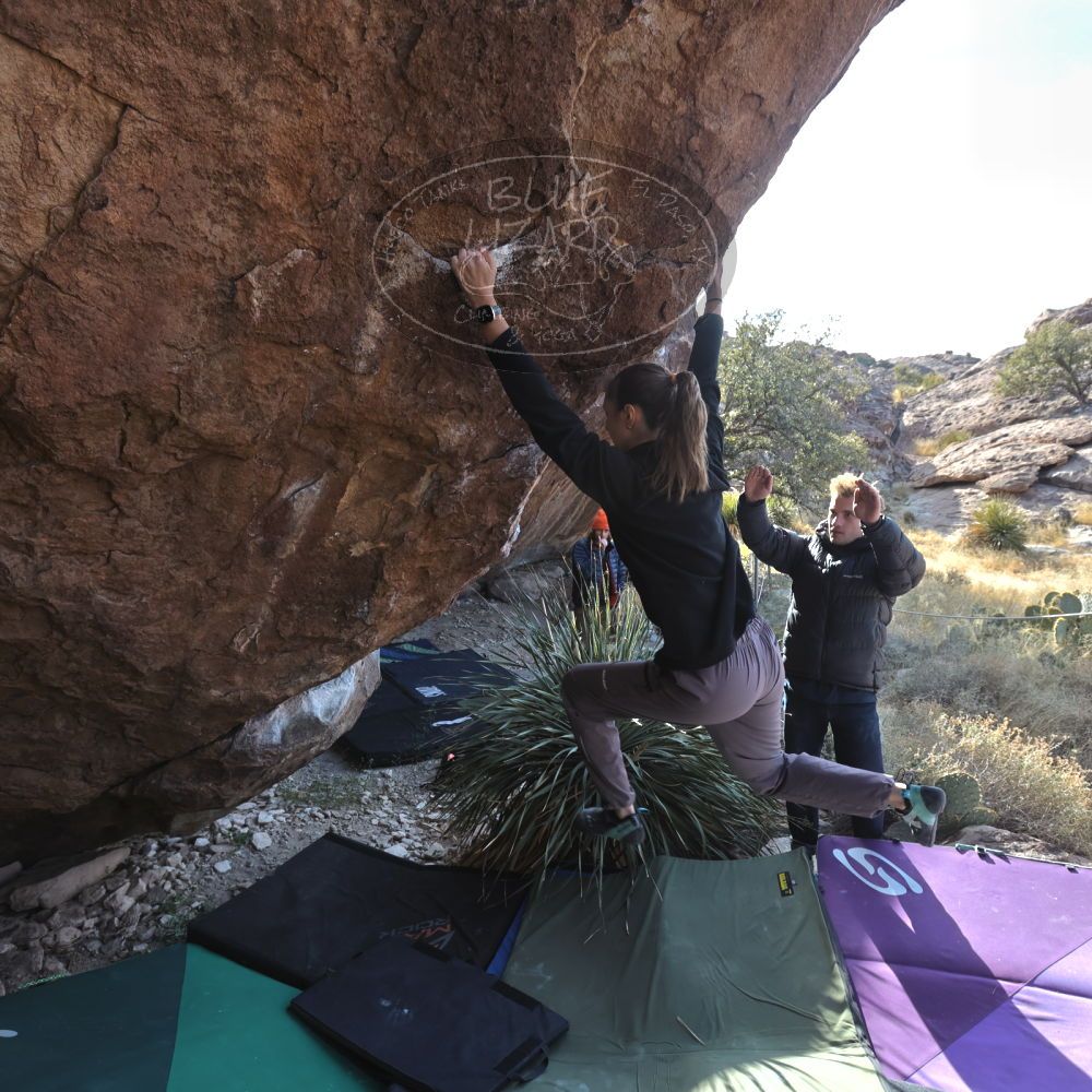 

Filename: SRM_20221124_1357380.jpg
Aperture: f/5.6
Shutter Speed: 1/500
Body: Canon EOS R6
Lens: Canon EF 16-35mm f/2.8 L