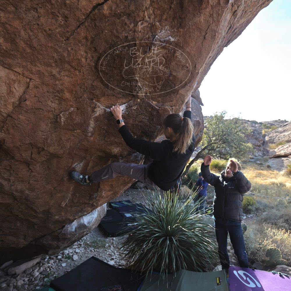 

Filename: SRM_20221124_1357420.jpg
Aperture: f/5.6
Shutter Speed: 1/500
Body: Canon EOS R6
Lens: Canon EF 16-35mm f/2.8 L