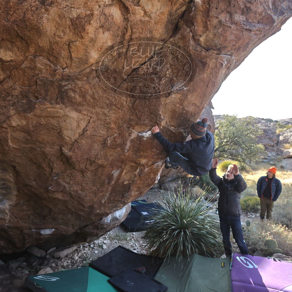 

Filename: SRM_20221124_1400290.jpg
Aperture: f/5.6
Shutter Speed: 1/500
Body: Canon EOS R6
Lens: Canon EF 16-35mm f/2.8 L