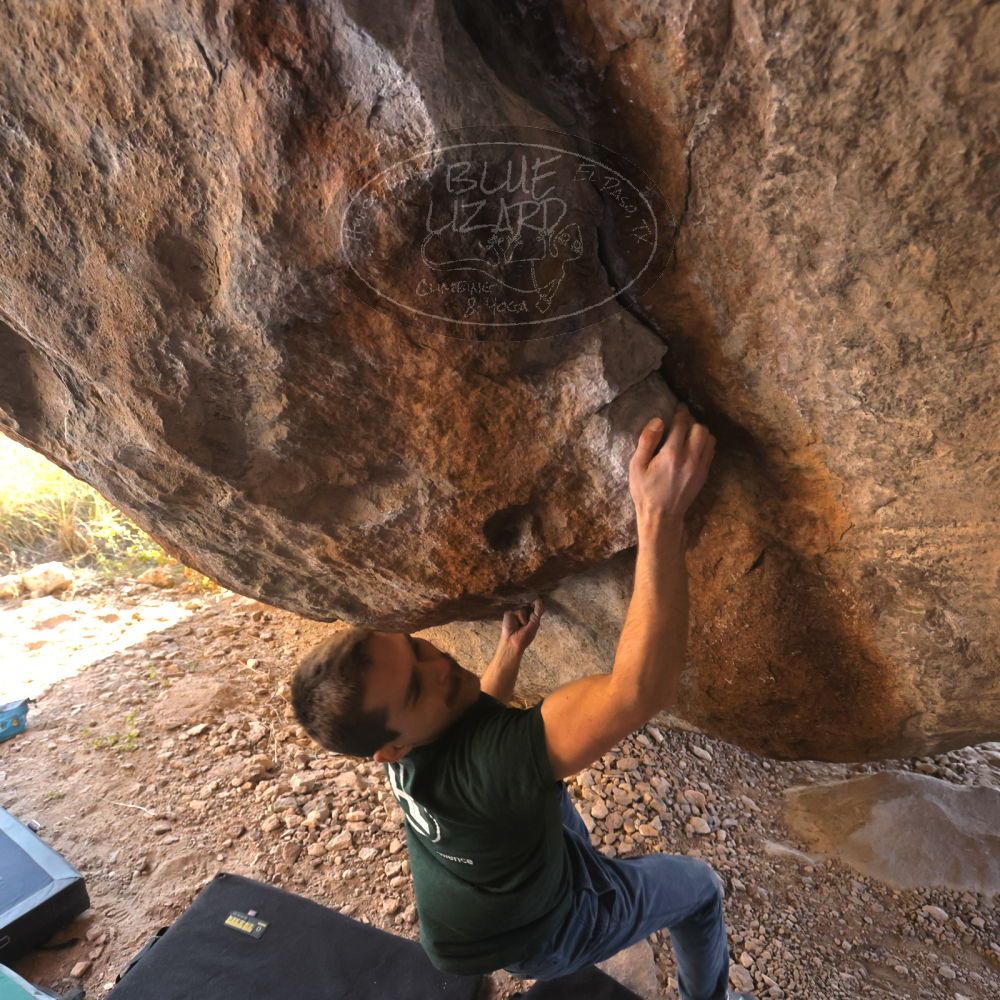 

Filename: SRM_20221124_1429410.jpg
Aperture: f/5.6
Shutter Speed: 1/500
Body: Canon EOS R6
Lens: Canon EF 16-35mm f/2.8 L