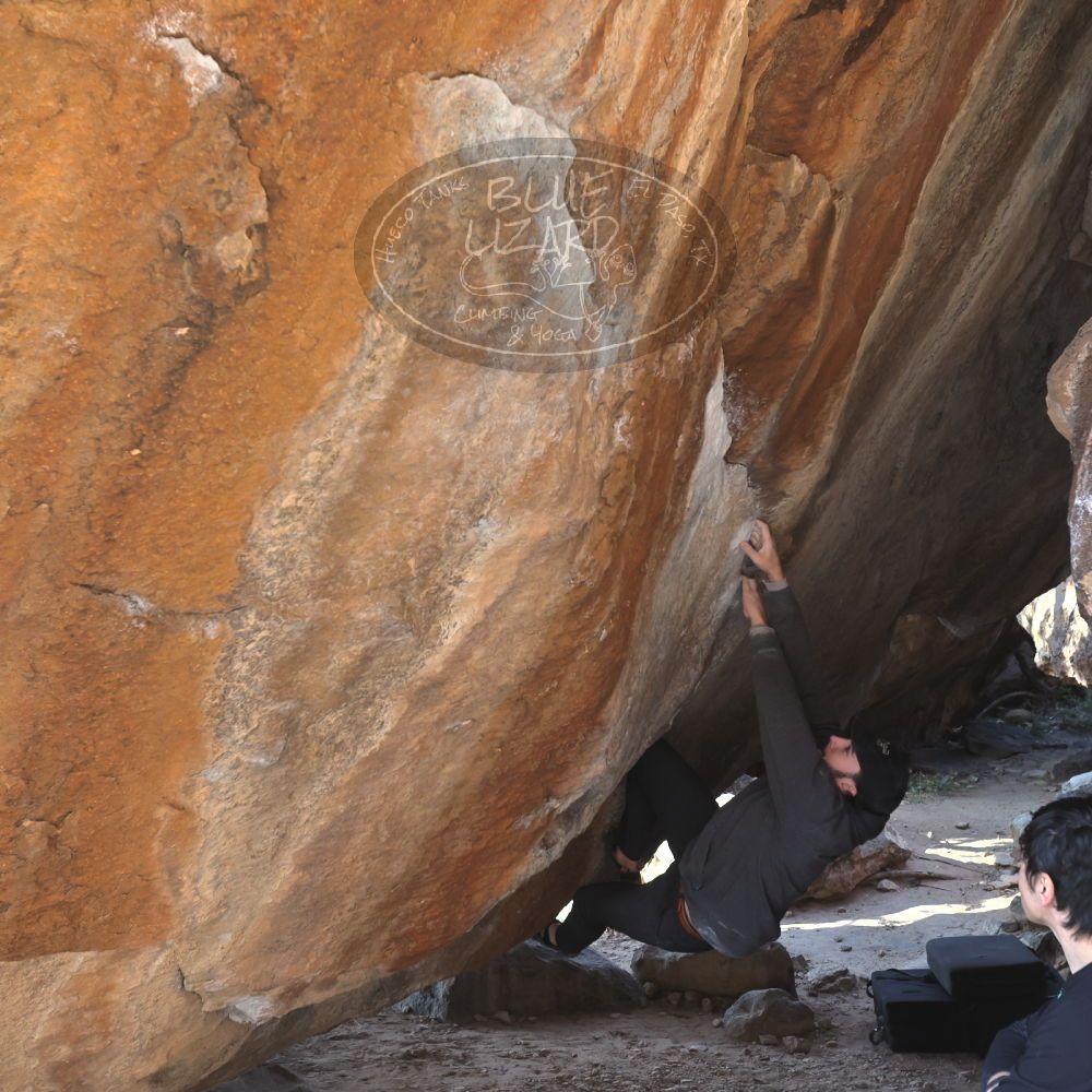 

Filename: SRM_20221124_1436100.jpg
Aperture: f/5.6
Shutter Speed: 1/500
Body: Canon EOS R6
Lens: Canon EF 16-35mm f/2.8 L